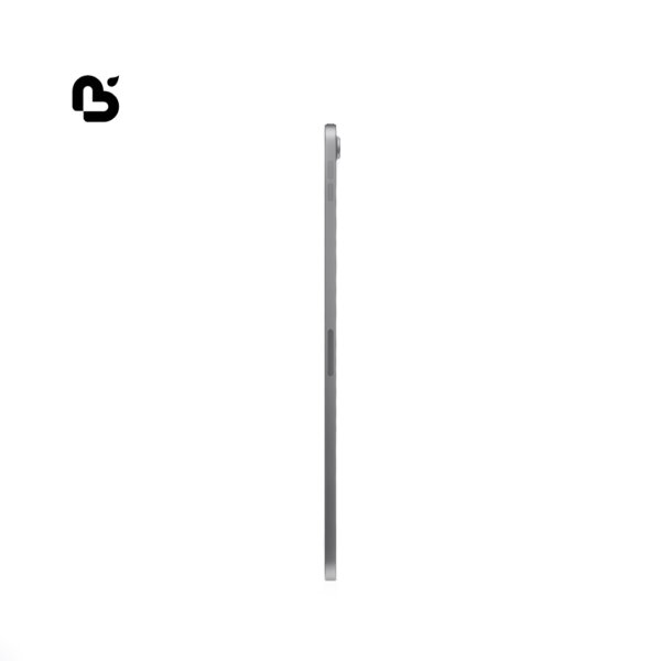 iPad Pro
