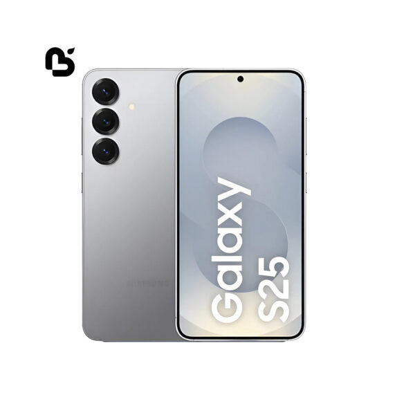 Samsung Galaxy S25 12/128 DS